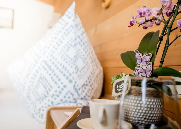 Geisler شقة تكس